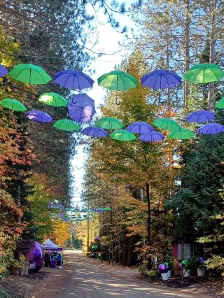 Festive Community Activities and Scenic Surroundings