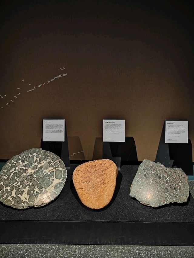 Nature’s Masterpiece: The Stones That Time Painted Nature’s Masterpiece: The Stones That Time Painted