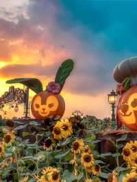 ! 🎃 ชุดฮาโลวีน - ฟักทอง  Seven Treasures ริมทะเล