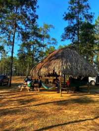 🌲🏞️ Mountain Pine Ridge Forest Reserve – Belize’s Highland Wonderland
