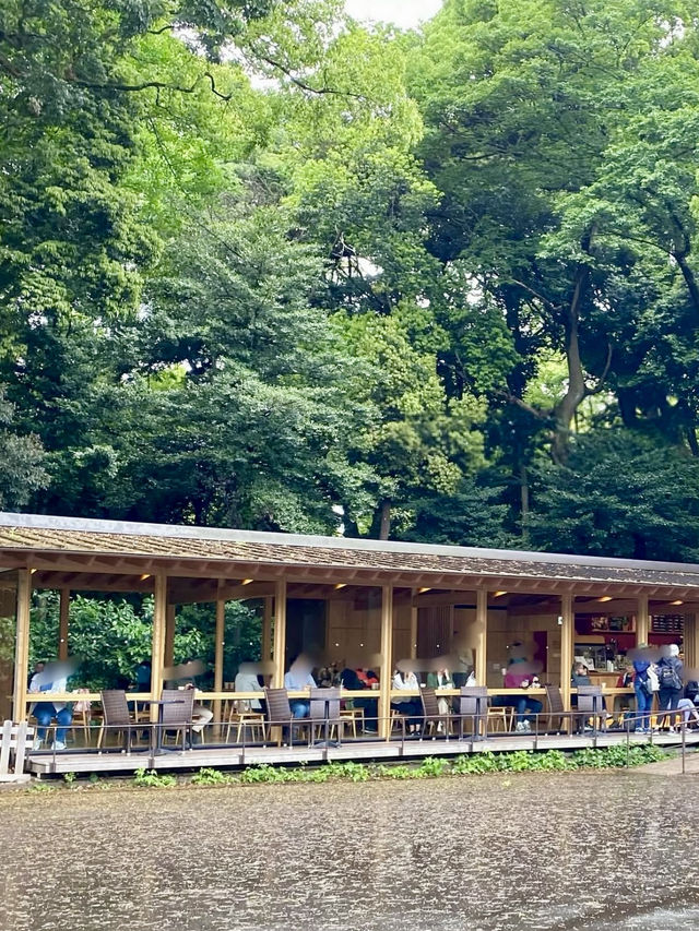 Tranquil Sips by the Shrine Gate 🍵✨