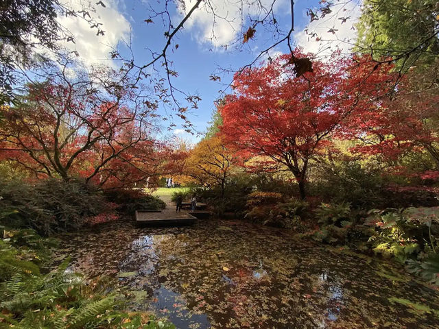 Washington Park Arboretum Washington Park Arboretum