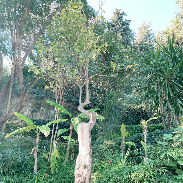 A Lemon-Scented Dream: Family Adventure at La Citronneraie