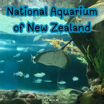 โลกใต้ทะเลสุดปัง National Aquarium of New Zealand