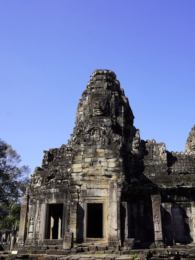 Nature Meets History🌿