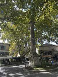 南法泉水城 Fontaine-de-Vaucluse💚被綠泉水治癒的一天