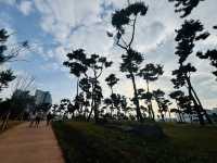 Evergreen Garden: Pyeongtaek’s Secret Sanctuary of Stillness🌿