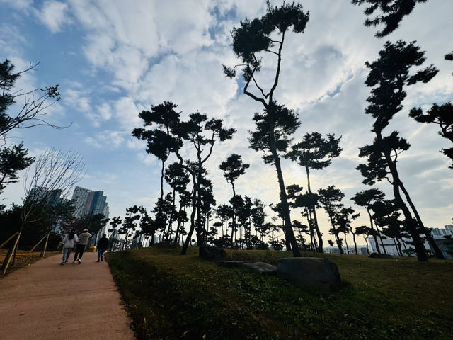 Evergreen Garden: Pyeongtaek’s Secret Sanctuary of Stillness🌿