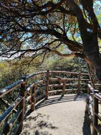 Spectacular Scenery of Mount Sanqing