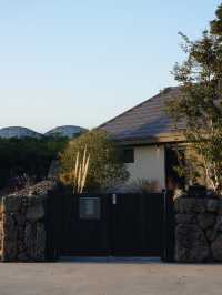 ์ฑ๊ทธ๋ฌ์ด ์์ฐ ์์ ์๋ฆฌ ์ก์ ๊ฐ์ฑ ๋
์ฑ ์คํ
์ด๐ก