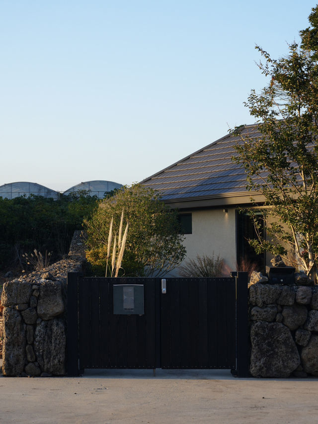 ์ฑ๊ทธ๋ฌ์ด ์์ฐ ์์ ์๋ฆฌ ์ก์ ๊ฐ์ฑ ๋
์ฑ ์คํ
์ด๐ก ์ฑ๊ทธ๋ฌ์ด ์์ฐ ์์ ์๋ฆฌ ์ก์ ๊ฐ์ฑ ๋
์ฑ ์คํ
์ด๐ก