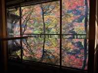 🍁 嵐山深處的秋日詩篇:夢幻祐斎亭遊記