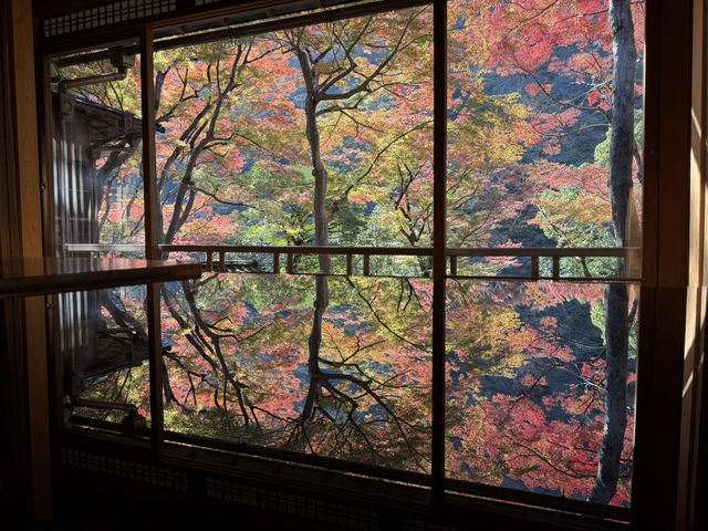 🍁 嵐山深處的秋日詩篇:夢幻祐斎亭遊記 🍁 嵐山深處的秋日詩篇:夢幻祐斎亭遊記