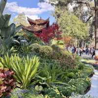 영원한 봄의 도시, 꽃이 지지않는 쿤밍