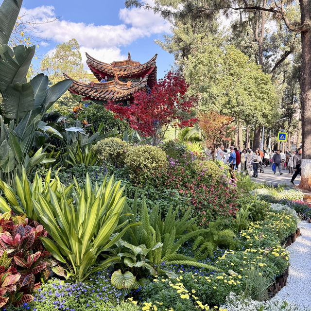영원한 봄의 도시, 꽃이 지지않는 쿤밍