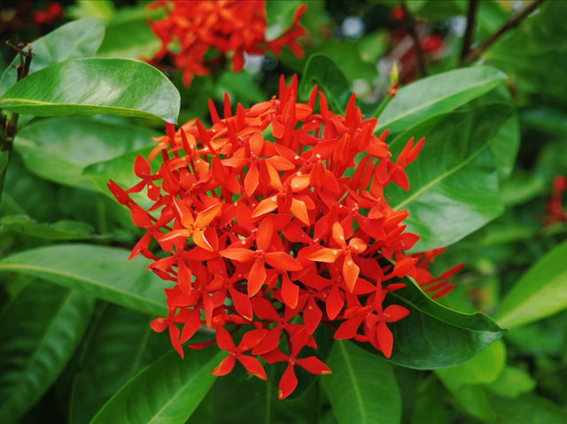 Eco-Adventure in the City: Cycling and Exploring the Wetland Trails