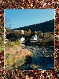 🌿♨️ รีวิว Hakone (ฮาโกเนะ) – เมืองออนเซ็นกลางหุบเ