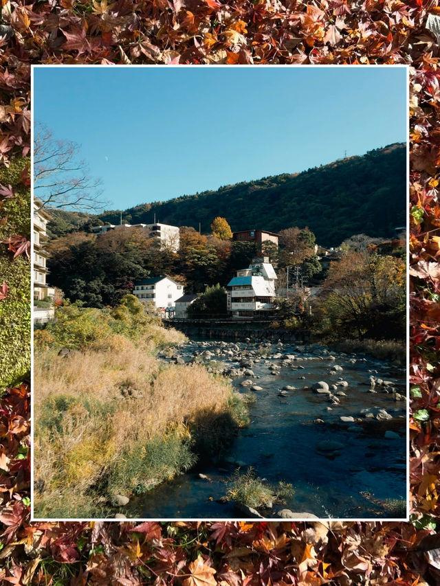 🌿♨️ รีวิว Hakone (ฮาโกเนะ) – เมืองออนเซ็นกลางหุบเ