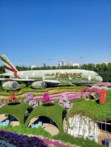 DUBAI MIRACLE GARDEN: A FLOWER UNIVERSE IN THE MIDDLE OF THE DESERT DUBAI MIRACLE GARDEN: A FLOWER UNIVERSE IN THE MIDDLE OF THE DESERT