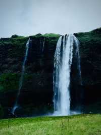 Northern Lights Tripcom✨