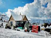 Winter Escape to Xinjiang: Powder Snow Adventure