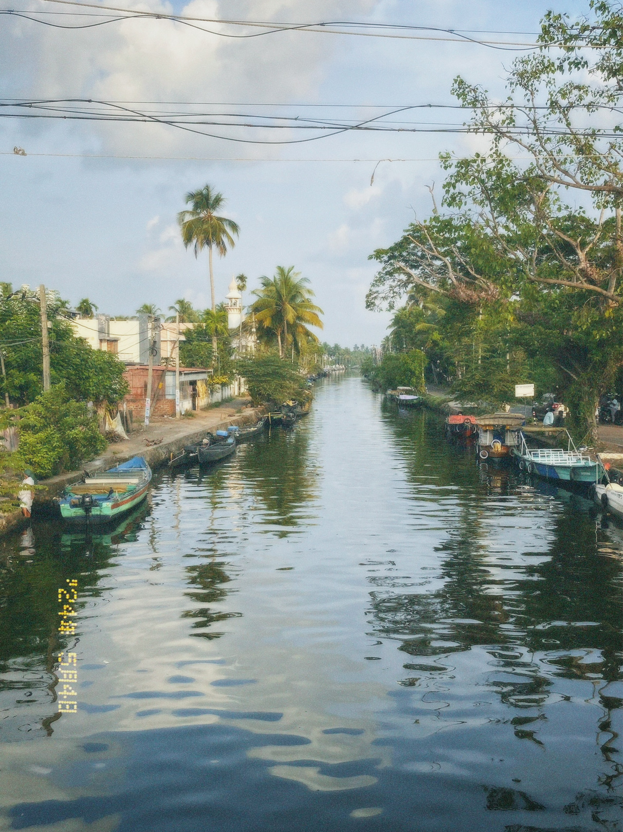 Ernakulam, Kochi, Kerala - Nature Bliss in Kerala 🌿 - 圖 5