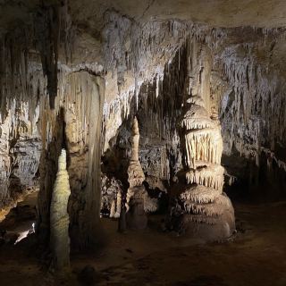 🦇 สิ่งมหัศจรรย์ใต้ดินที่อุทยานแห่งชาติถ้ำนาราคอร์ท