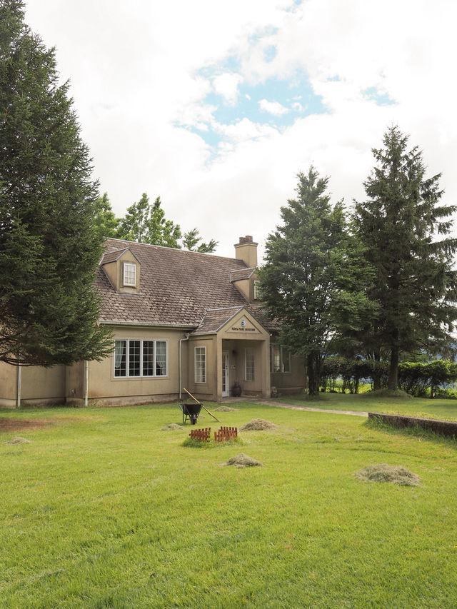 大自然満喫!春から秋にオススメの阿蘇の絶景スポット