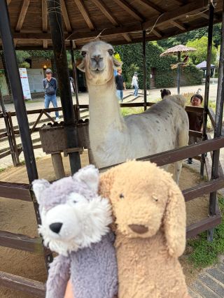 Nagasaki Biopark: Up-Close Hugs with Alpacas & Capybaras! Huis Ten Bosch After 3 Pass: A Queue-Free Journey to Endless Photo Spots in the Off-Season.
