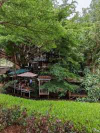 Tree house cafe Jarkata 