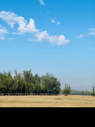 🏝️ Sonadia Island – Bangladesh’s Untouched Island Paradise 🌊🇧🇩

Hidden in the tranquil waters of the Bay of Bengal, just off the coast of Maheshkhali, Cox’s Bazar, lies one of Bangladesh’s most breathtaking natural treasures—Sonadia Island. Far away from the crowds, traffic, and busy city life, this small island is a paradise where nature remains pure, peaceful, and untouched.

Covering approximately 9 square kilometers, Sonadia Island is famous for its golden sandy beaches, crystal-clear sea, mangrove forests, mudflats, sand dunes, rich biodiversity, and spectacular sunsets. It is one of the best destinations in Bangladesh for travelers who want to experience the true beauty of nature.

🌊 A Hidden Gem of the Bay of Bengal

Unlike many popular tourist destinations, Sonadia Island has remained largely untouched by modern development. There are no towering buildings or crowded streets—only endless beaches, gentle waves, fresh sea breeze, and the soothing sound of nature.

Walking along the quiet shoreline, you’ll feel as if you’ve discovered a secret island hidden from the rest of the world.

🏖️ Golden Sandy Beaches

The island’s long stretches of soft golden sand make it perfect for peaceful walks, relaxing by the sea, and enjoying breathtaking views of the Bay of Bengal.

Whether you’re watching the waves roll onto the shore or simply sitting quietly under the open sky, every moment on Sonadia feels calm and refreshing.

🌿 Mangrove Forests & Rich Biodiversity

Sonadia Island is home to beautiful mangrove forests that protect the coastline and provide shelter for countless species of wildlife. These forests are an important part of the island’s ecosystem and add a unique charm to its natural beauty.

Nature lovers will appreciate the island’s peaceful environment and rich biodiversity.

🦜 A Paradise for Bird Lovers

Every winter, thousands of migratory birds visit Sonadia Island from different parts of the world. The island becomes a seasonal sanctuary for many species, making it one of the best places in Bangladesh for birdwatching.

You may also spot:
🦩 Herons
🦆 Ducks
🦅 Eagles
🐦 Kingfishers
🌊 Various coastal birds

The sight of birds flying over the sea during sunrise and sunset creates an unforgettable scene.

🌅 Magical Sunrise & Sunset

One of Sonadia Island’s greatest attractions is its incredible sunrise and sunset.

In the early morning, the first rays of sunlight slowly illuminate the calm waters of the Bay of Bengal, creating a peaceful atmosphere.

As evening arrives, the sky transforms into brilliant shades of orange, pink, purple, and golden yellow, reflecting beautifully on the sea. Watching the sunset here is an experience that remains in your memory forever.

📸 A Photographer’s Paradise

Every part of Sonadia Island offers stunning photography opportunities.

📷 Endless sandy beaches
📷 Mangrove forests
📷 Colorful fishing boats
📷 Traditional fishing villages
📷 Migratory birds
📷 Beautiful sunsets
📷 Peaceful coastal landscapes

Whether you’re a professional photographer or simply capturing memories with your phone, every frame tells a beautiful story.

🐟 Traditional Fishing Life

Fishing is one of the main livelihoods of the local people. Visitors can watch fishermen preparing their colorful boats, casting large fishing nets, and returning with the day’s fresh catch.

Experiencing this traditional coastal lifestyle adds a unique cultural touch to your journey.

🍤 Fresh Seafood Experience

A visit to Sonadia Island is incomplete without tasting its fresh seafood.

Local families and small restaurants prepare delicious dishes using freshly caught fish, prawns, crabs, lobster, squid, and many traditional Bangladeshi recipes.

Every meal reflects the authentic coastal flavors of the region.

🎯 Things to Do

✅ Walk along the peaceful beach.
✅ Explore the mangrove forest.
✅ Watch migratory birds during winter.
✅ Enjoy sunrise and sunset.
✅ Experience the local fishing culture.
✅ Capture breathtaking travel photographs.
✅ Relax in complete peace surrounded by nature.
✅ Taste fresh seafood prepared by local people.

🚤 How to Reach Sonadia Island

Travelers usually reach Maheshkhali by boat from Cox’s Bazar and then continue to Sonadia Island by local boat. The boat journey itself is a wonderful experience, offering beautiful views of the sea, fishing boats, and coastal landscapes.

📅 Best Time to Visit

The best time to visit Sonadia Island is from October to March, when the weather is pleasant, the sea is calmer, and thousands of migratory birds arrive on the island.

💡 Travel Tips

· Carry drinking water and light snacks.
· Wear comfortable clothing and sandals.
· Bring sunscreen, sunglasses, and a hat.
· Carry a camera to capture the island’s incredible beauty.
· Respect nature and avoid littering.
· Follow local safety instructions while traveling by boat.

💙 Sonadia Island is not just another tourist destination—it’s a place where silence speaks, the sea heals, and nature reveals its purest beauty. Every wave, every bird, every sunset, and every gentle breeze reminds you that the most beautiful places on Earth are often the simplest ones.

If you’re looking for a peaceful escape away from the crowds, where you can reconnect with nature and create unforgettable memories, Sonadia Island is waiting to welcome you.

📍 Sonadia Island, Cox’s Bazar — Where untouched nature meets the endless blue of the Bay of Bengal.

#SonadiaIsland #CoxsBazar #Maheshkhali #TravelBangladesh #ExploreBangladesh #IslandLife #NatureLovers #TravelPhotography #BayOfBengal #VisitBangladesh #Wanderlust #GalivVerse