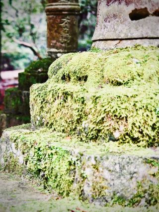 胡斯峽灣的石楠崖和海岸健行：塞尼亞島靜謐的脊背 Easytravelpost #塞尼亞島 #胡斯峽灣
