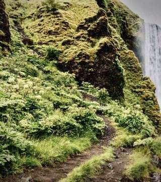 Philippines Luzon Mount Pulag Ambangeg Mossy Grassland Ridgeeasytravelpost