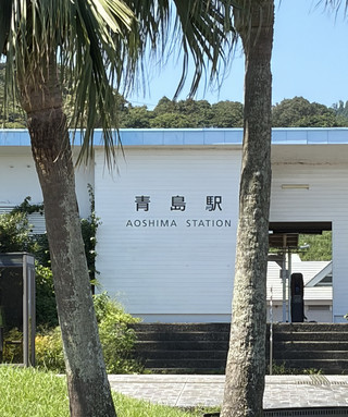 宮崎・青島——橋でつながる絶景の島と鬼の洗濯板