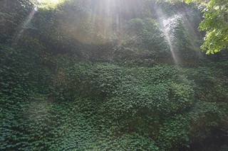 🌿【Java, Indonesia】Explore the hidden gem Madakaripura! A natural oxygen bar surrounded by lush greenery and mist 💧⛰️