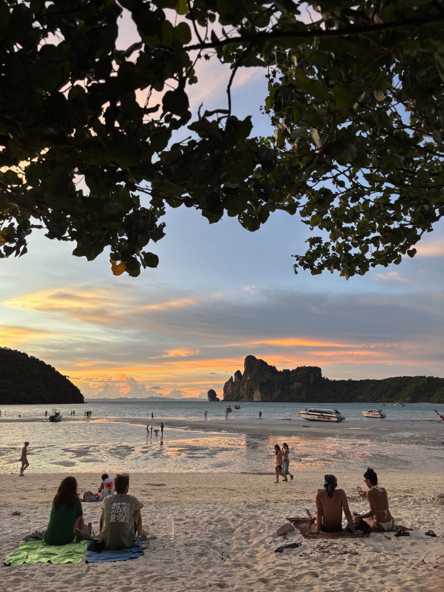 피피섬은 단순히 바다만 있는 곳이 아닙니다 🏝️🥇