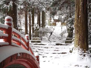 An in-depth look at Futagoji, a hidden temple nestled amidst a forest of giant pine trees, offering an unseen, snow-covered experience in Oita. ❄️⛩️