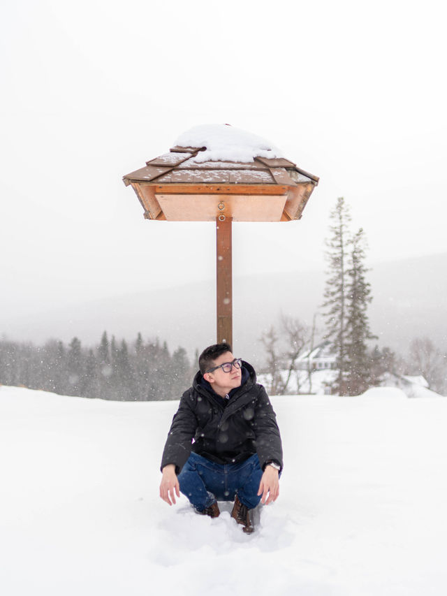 Snow Paradise @ Bretton Woods, New Hampshire