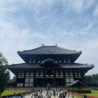 【奈良県🇯🇵東大寺】迫力が凄すぎた‼️見どころ満載の東大寺