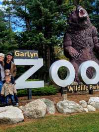 Go feed Hutch the Bear some apples at Garlyns Zoo
