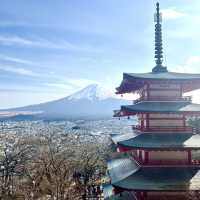 Epic views of Mt Fuji! Lake Kawaguchiko - A day trip from Tokyo. 