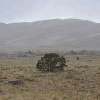 Great Sand Dunes National Park