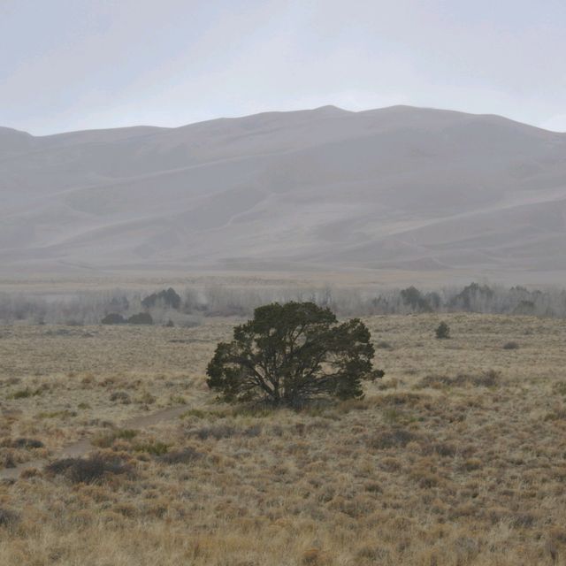 Great Sand Dunes National Park