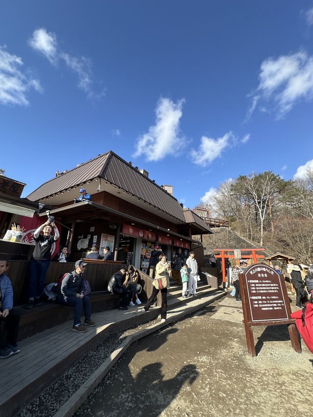 登天上山公園排隊打韆鞦💜嘆無敵富士山美景🗻