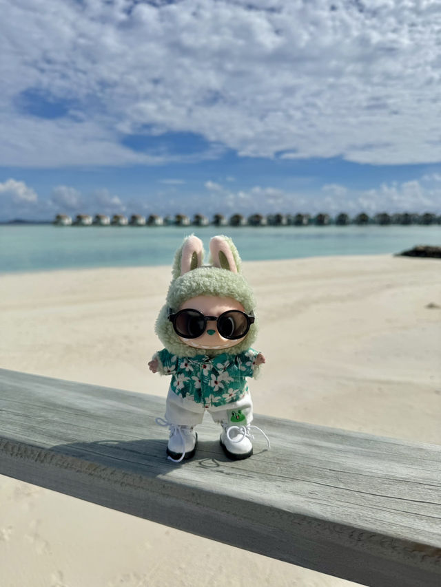 Maldives Magic: From City Strolls to Oceanfront Dreams