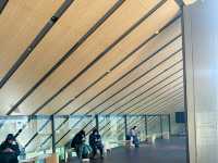 🎋【東京根津美術館 Nezu Museum】都會中的和風秘境🌿｜日式建築＋夢幻庭園＋東洋藝術珍藏｜超值得一訪！