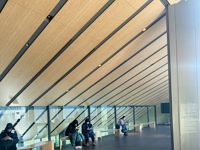 🎋【東京根津美術館 Nezu Museum】都會中的和風秘境🌿｜日式建築＋夢幻庭園＋東洋藝術珍藏｜超值得一訪！