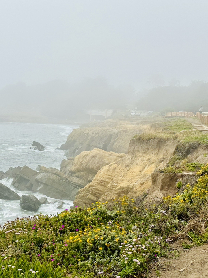 California's Hidden Gem: A Three-Day Guide to the Beautiful Coastal Town of Cambria