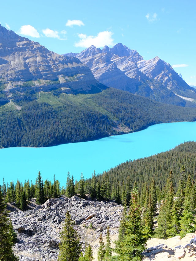 湖畔遠足尋靚景好去處⛰️