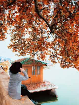 Autumn season in Kashmir India 